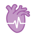 Cardiovascular Disease@2x