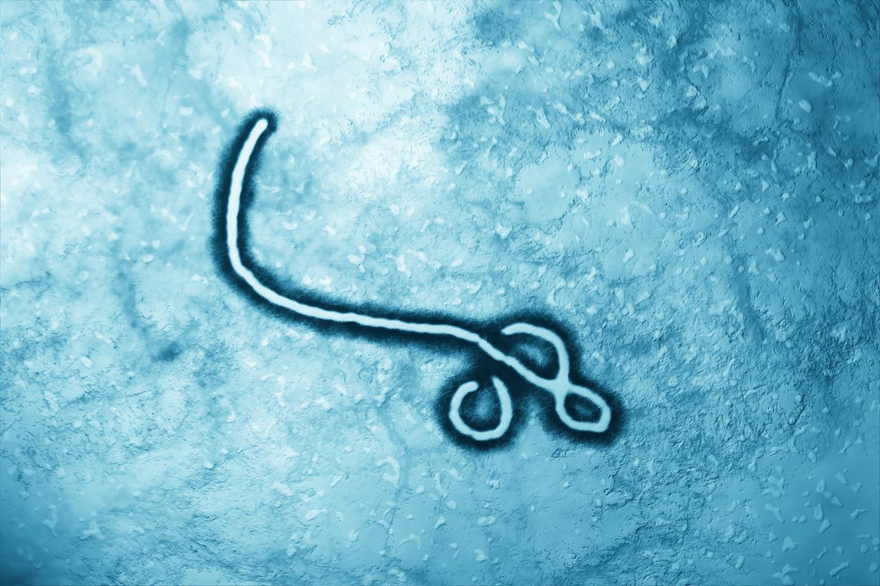 Preparing for Ebola and the next epidemic