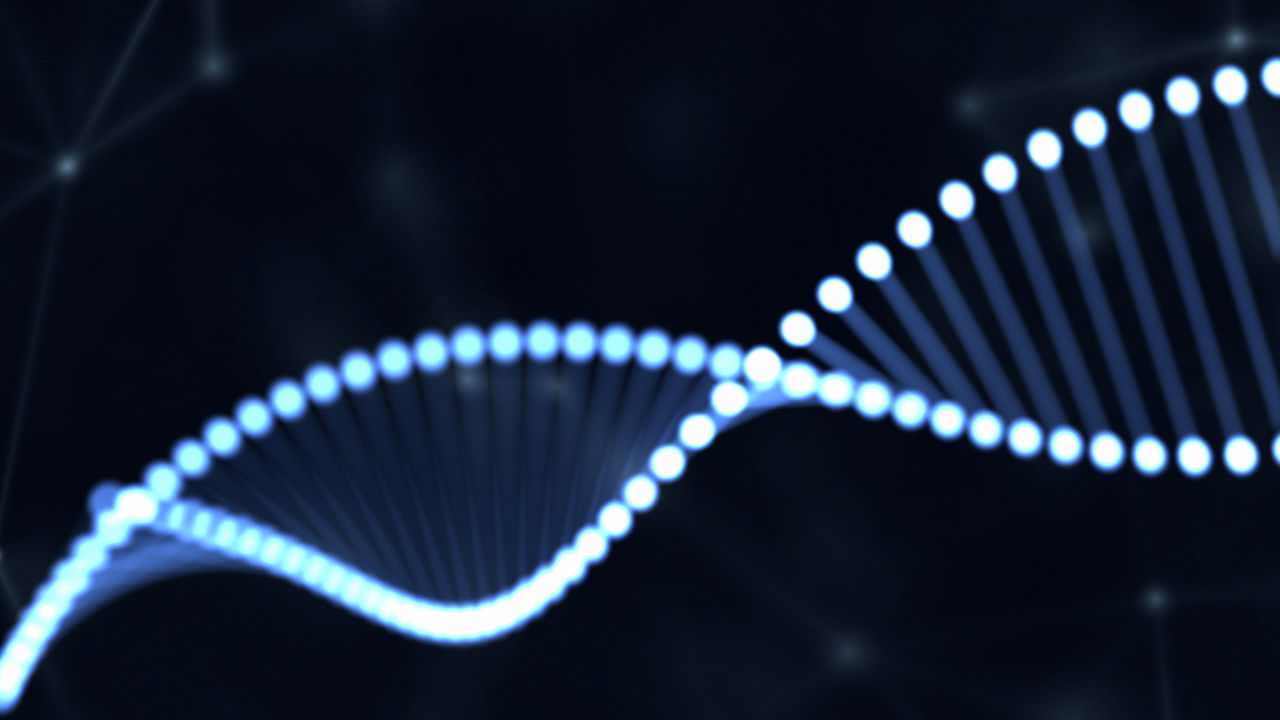 Abstract DNA molecule